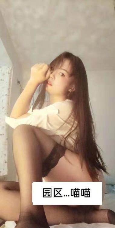 园区小妖精